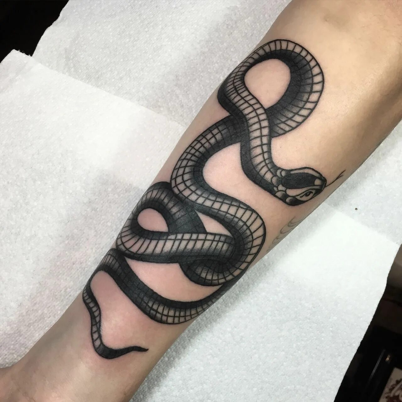 Что означает черная змея. Тату змеи. Змея на руке. Тату змея на руке. Тату змеи на руке мужские.
