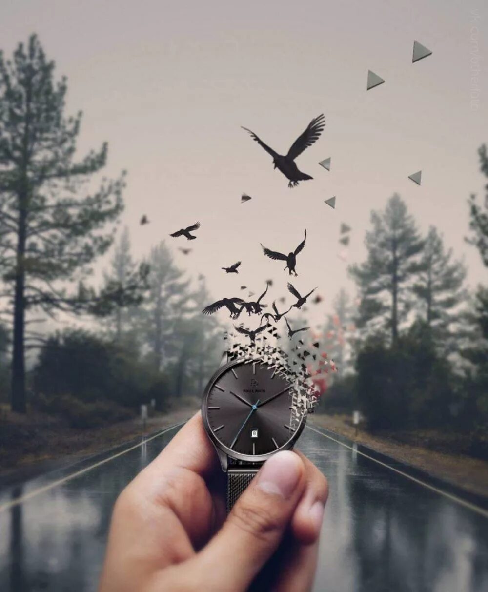 Не успевшие улететь. Не успевшие улететь
