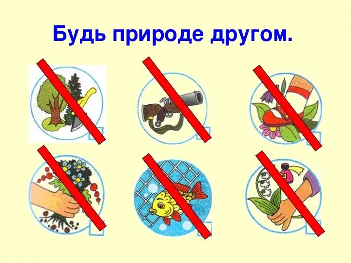 Знаки охраны природы. Окружающее исключить. Окружающее исключить. Закон о курении. Знаки поведения в природе.