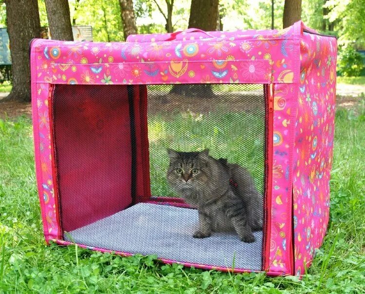 Выставочная палатка для кошек. Палатка для кошек на выставку. Выставочная клетка для кошек. Лоток для кошек в выставочную палатку.