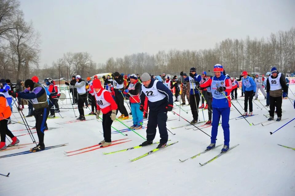 зеленогорск красноярский край лыжная база. лыжная база сибиряк красноярск. федерация лыжных гонок россии логотип. сайт лыжных гонок красноярского. виктория ершова лыжные гонки.