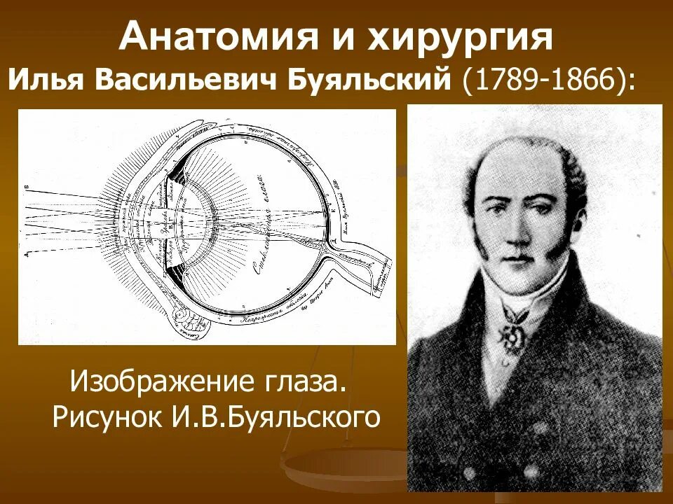 Вклад буяльского в медицину