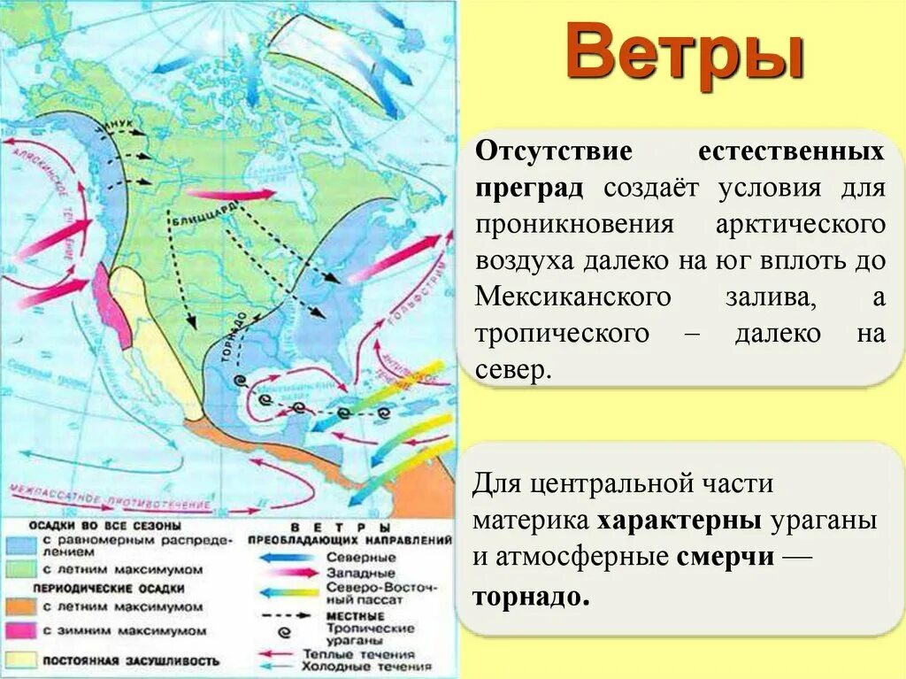 Северная америка образ материка кратко. Северная Америка образ материка. Америка образ материка. География 7 класс образ материка. Течения Северной Америки.