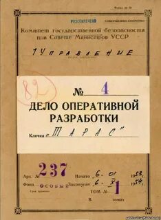 Дело оперативного розыска