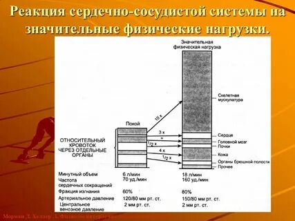Реакция на физическую нагрузку