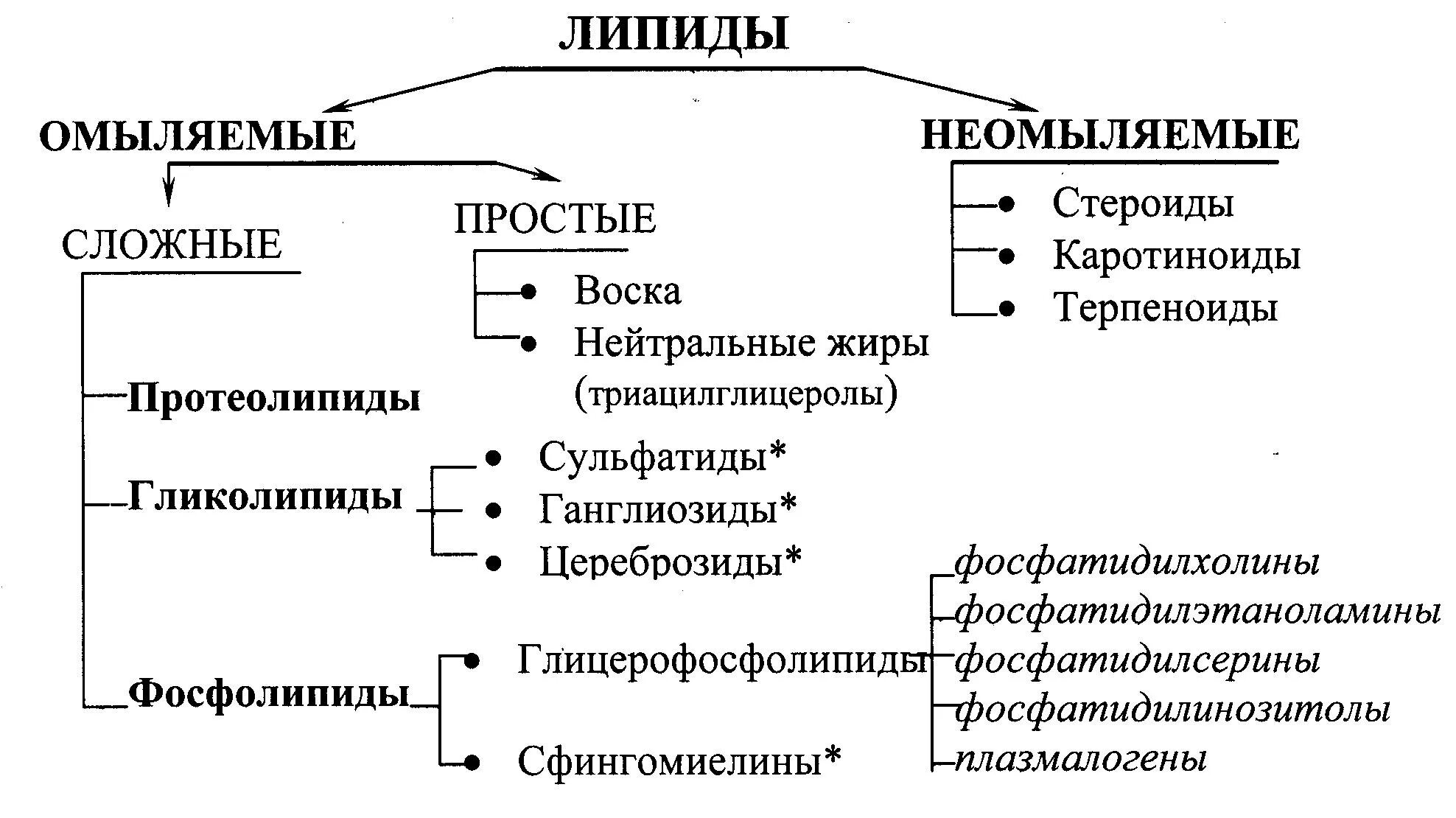 Жиры относятся к группе. Классификация липидов биохимия. Сложные липиды классификация. Фосфолипиды классификация биохимия. Классификация омыляемых липидов.