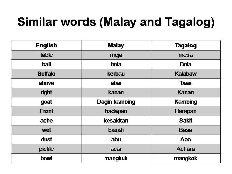 Similar Words. Similar Words in English. Words similar in English and Russian. Тагалог. Words with many meanings