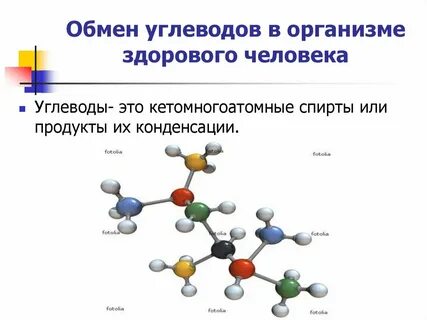 Строение обмен