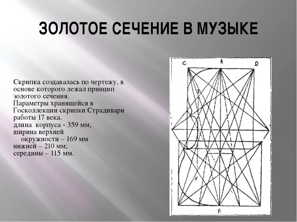 Золотое сечение вязьма. Скрипка страдивари золотое сечение. золотое сечение в орнаменте. золотое сечение геометрические фигуры. золотое сечение примеры.