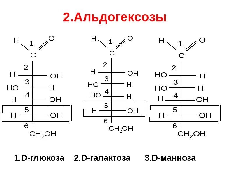 D Глюкоза и d манноза. Манноза это моносахарид. Олигосахариды манноза. 2-Этил-d-галактоза. Фруктоза манноза