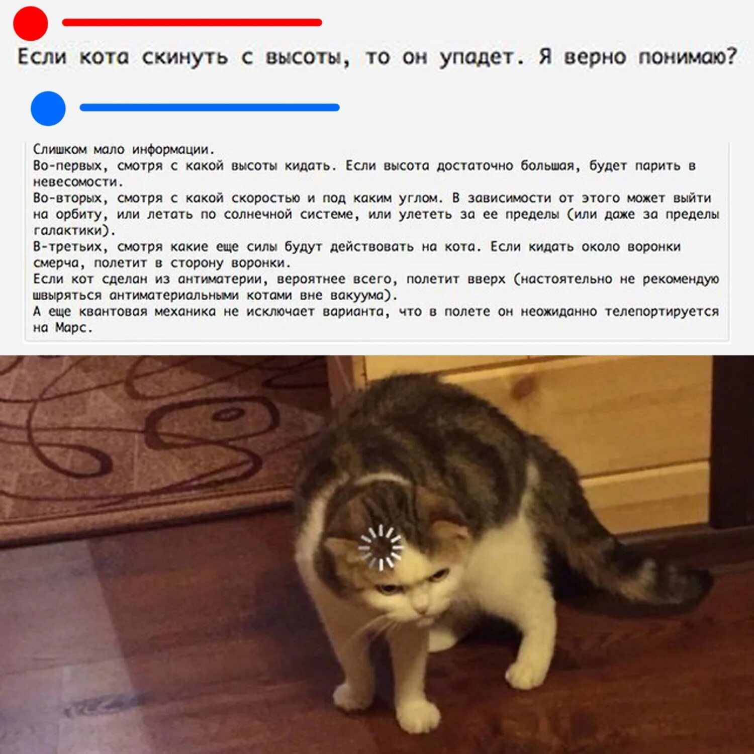 Постоянно скидывает. Кот хочу кота!. Какой кот? Не было кота. Кошка хочет кота.