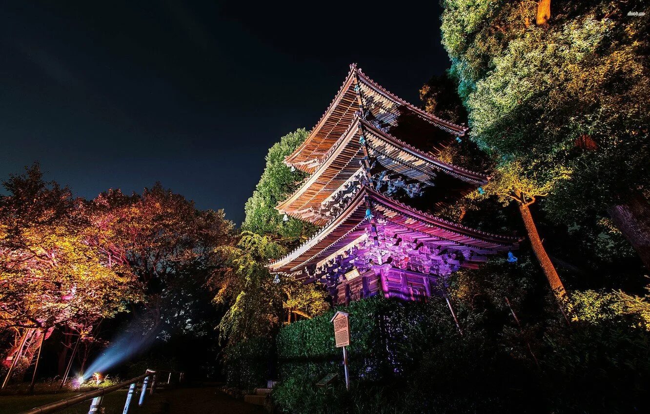 Обои tokyo. Япония парки пруд Osaka. Япония ночной Токио. Токио парк ночью. Япония Токио пейзаж.