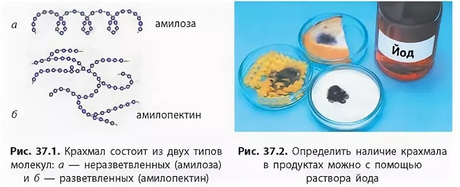 Практическая работа определение примесей крахмала в сметане. Выявление примеси муки и крахмала. Лабораторная работа определение крахмала. Выявление примеси муки и крахмала. Лабораторная работа определение крахмала.