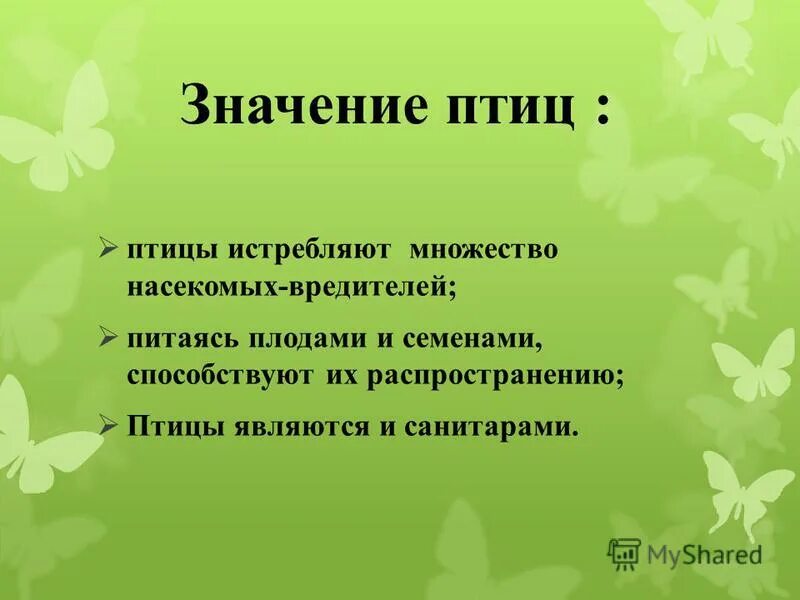 Значение птиц в природе конспект