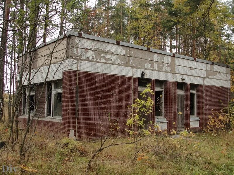 Лесное васкелово. Заброшенный лагерь Березка Васкелово. Заброшенный лагерь Березка Московская область. Пионерский лагерь Березка Васкелово. Заброшенный лагерь Березка Лобня.