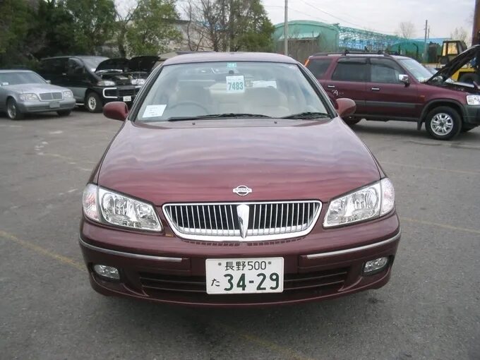 Nissan Bluebird Sylphy 2000. Nissan Bluebird Sylphy, 2000 год. Бордовый перламутровый машина. Ниссан блюберд силфи 2000 год