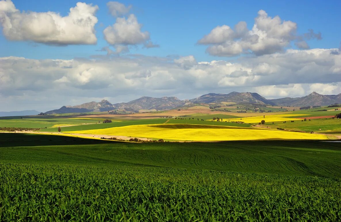 The land flowing with the milk and honey. Low life. Центральная равнина крыма. Land flow. Land flow.