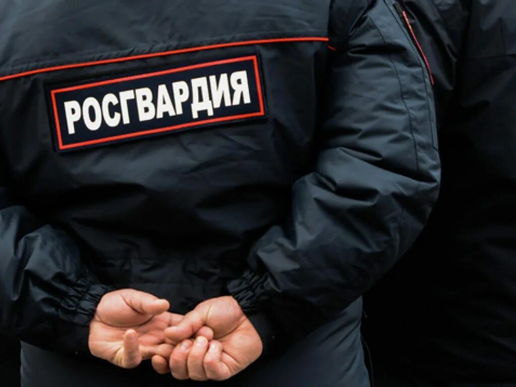 Шутки про росгвардию. Росгвардия надпись на спине. Удостоверение сотрудника росгвардии. Росгвардеец срочник. Удостоверение росгвардии.