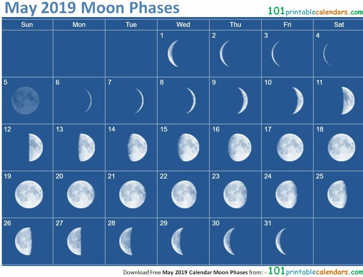 Moon Calendar. Lunar Sun Calendar. Когда будет полнолуние. Moon phases. Луна 2019 года