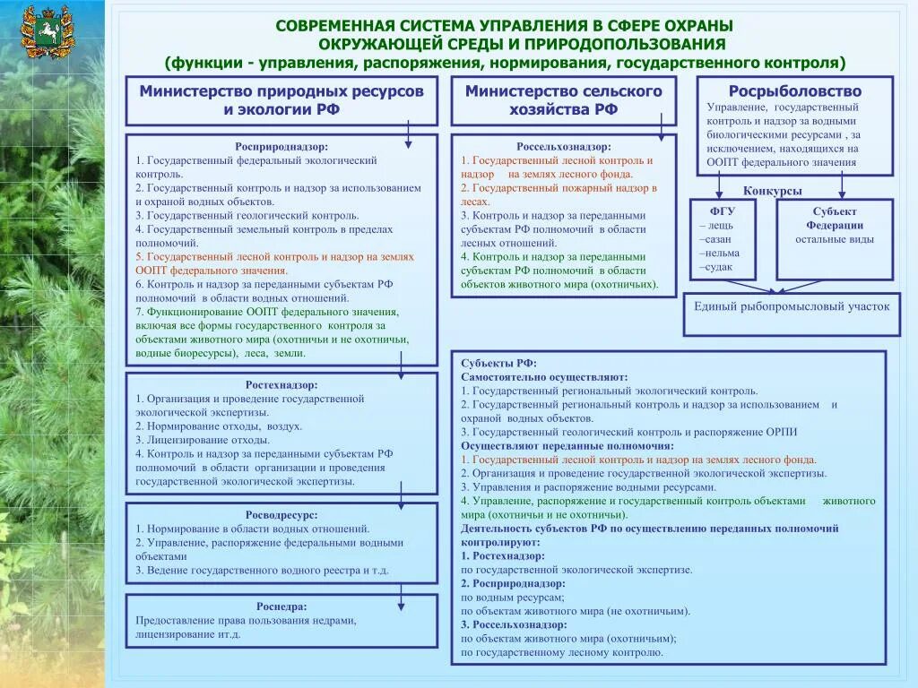Лес гражданину рф. Структура государственного управления охраной окружающей среды. Государственное экологическое управление. Система охраны природной среды. Государственное управление в сфере экологии.