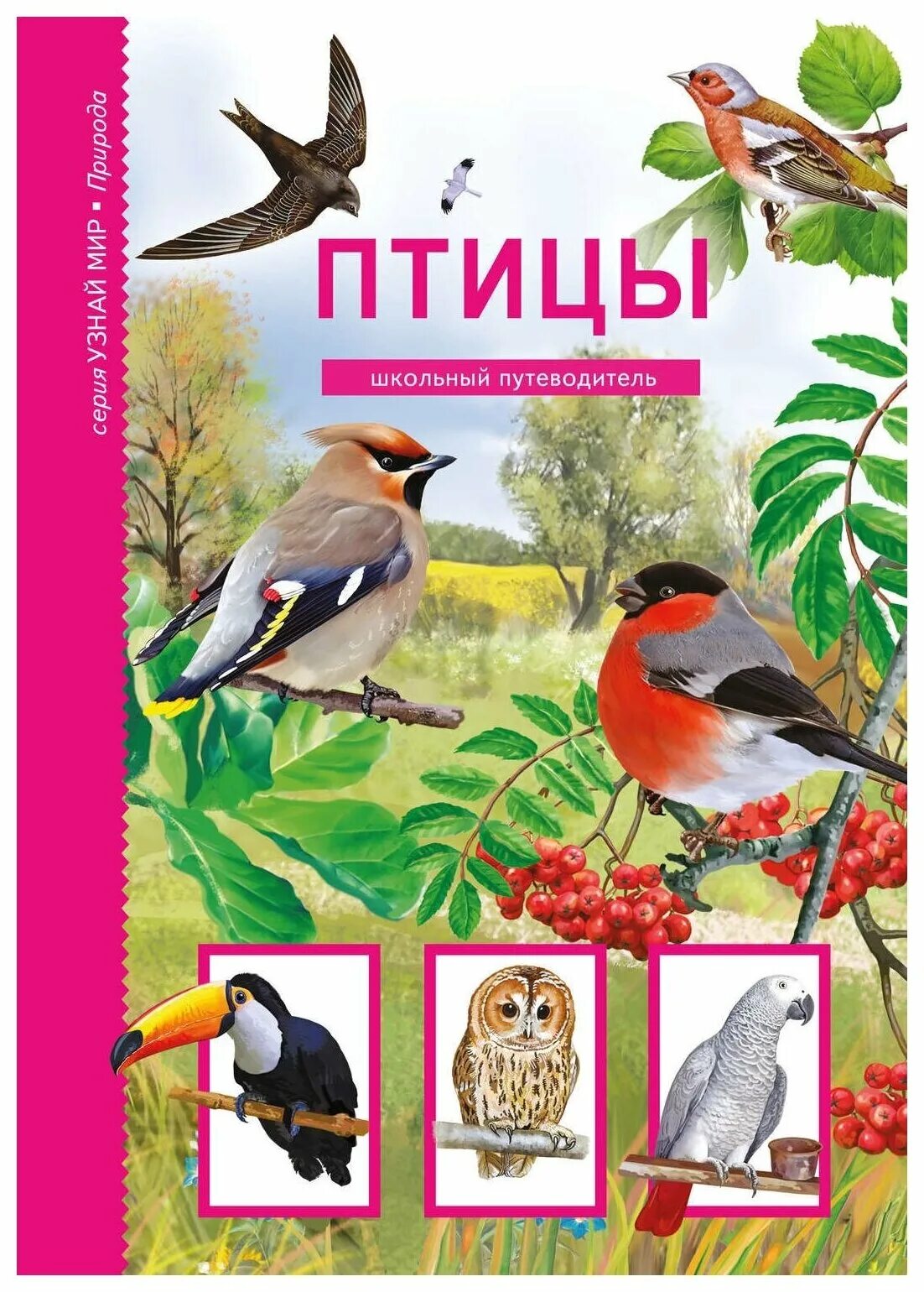 энциклопедия росмэн «птицы. книга «птицы в городе». бугаев а. птицы в городе васильева. "большая книга птиц".