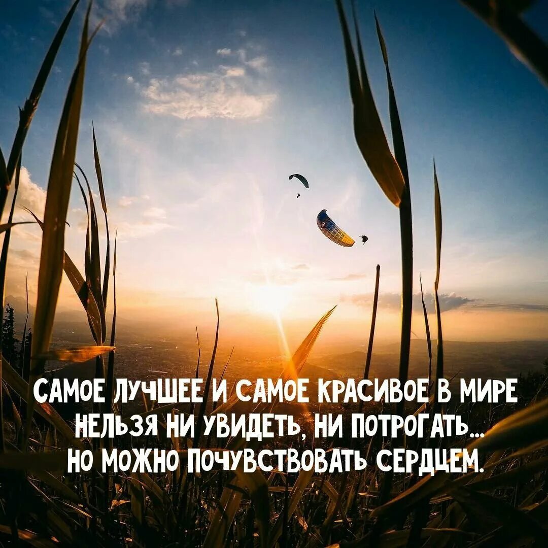 К прекрасному выражение