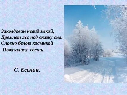 Под сказку сна