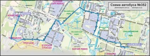 Новый маршрут автобуса петергоф