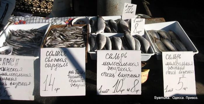 Нет одессы без привоза
