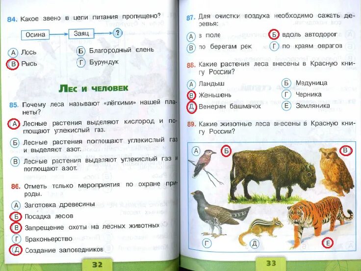 Тест по окружающему миру третий класс плешаков. Тест по окружающему миру. Тест по окружающему миру 4 класс. Тесты по окружающему 4 класс. Тест окружающей мир 4 класс.