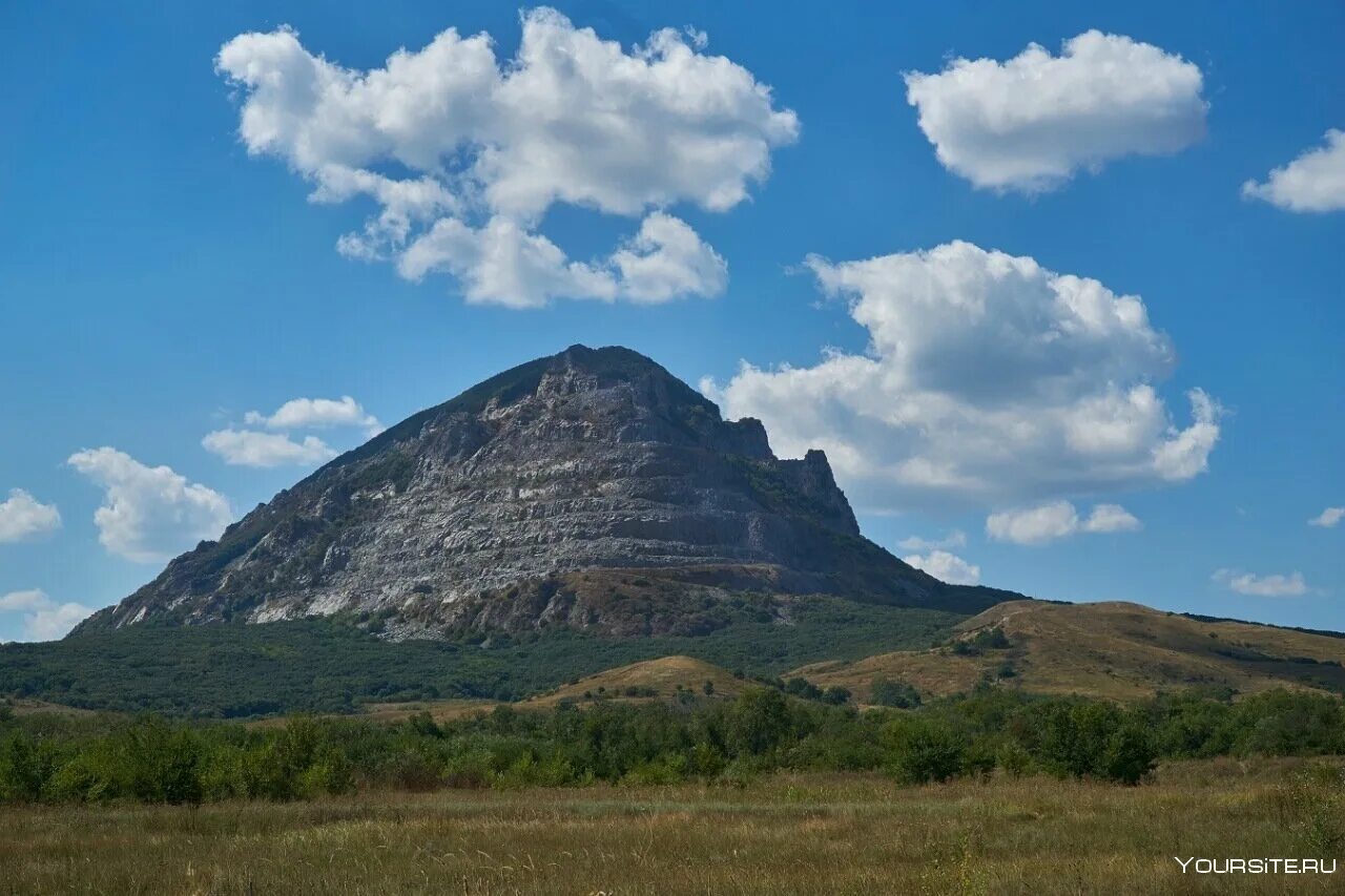 Змейка пятигорск