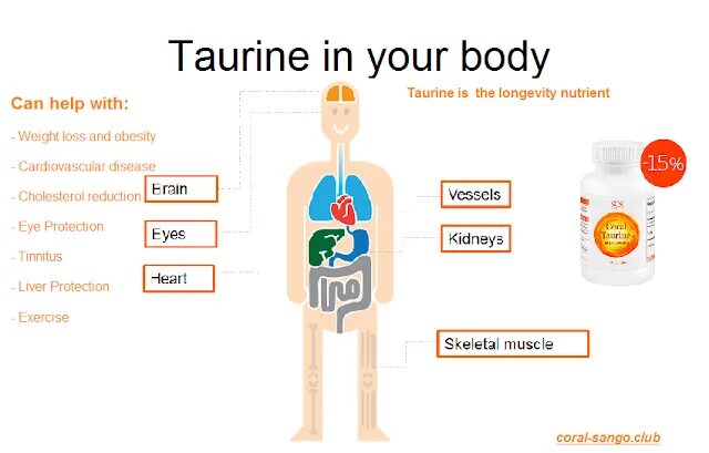 Таурин. Роль таурина в организме человека. Таурин body. Таурин содержится.