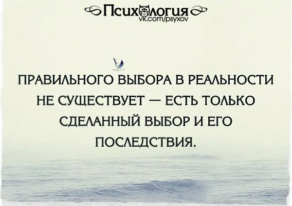 Делать или нет выбор. Правильного выбора в реальности. правильного выбора в реальности не существует. правильного выбора в реальности не существует есть только. правильный выбор цитаты.