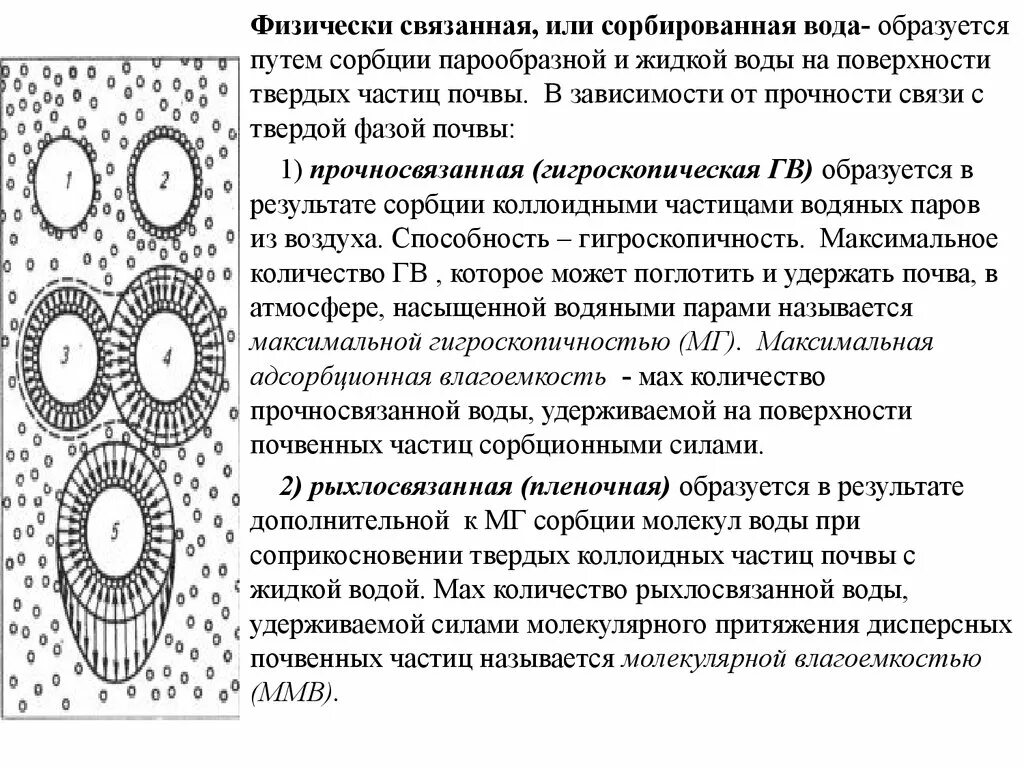 Особенности строения связанной воды. Гигроскопическая (прочносвязанная) вода. Физически связанная вода в грунтах. Виды воды в почве. Виды рыхлосвязанной воды:.