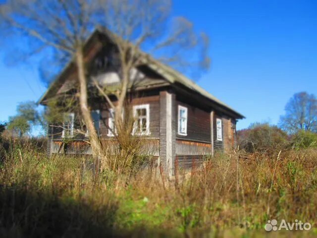 Деревня зуй. Деревня крестцы новгородская область.