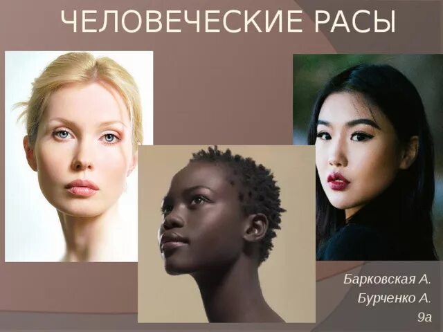 Земли человеческие расы. Основные расы. Виды рас человека. Три расы людей. Три основные расы.