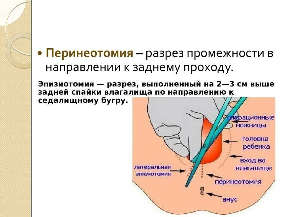 Когда можно начинать половую жизнь после родов