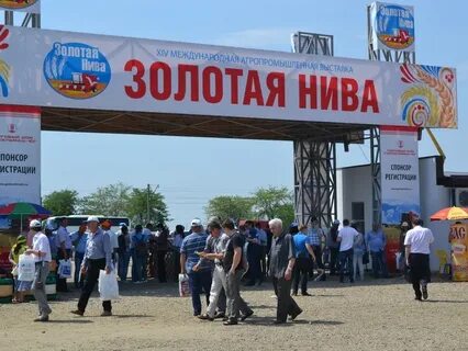 Золотая нива маршрут