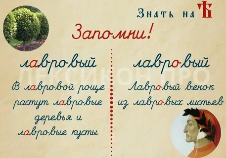 Лавровый лист ударение