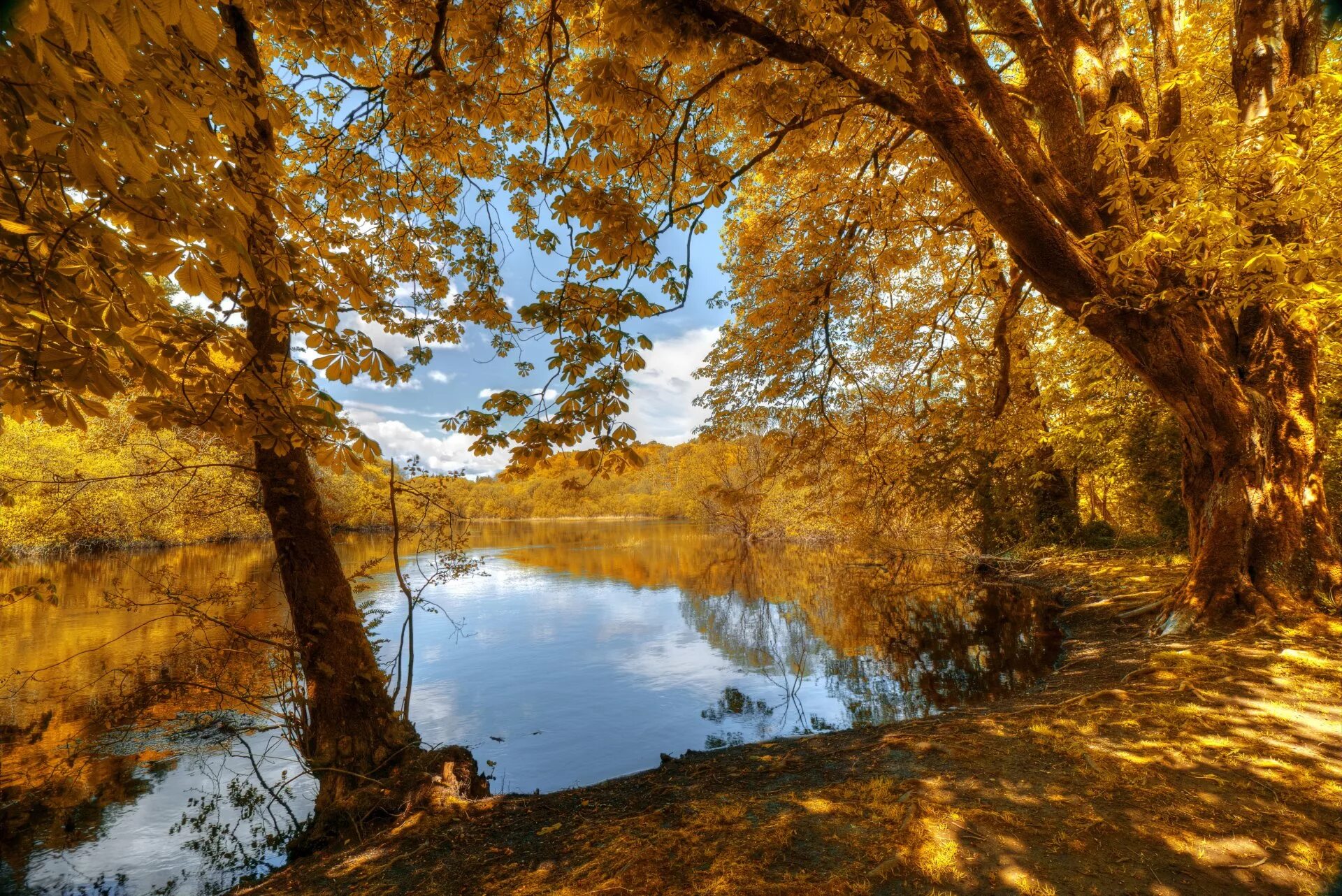 Осенние пейзажи осени. Осенняя природа. Пейзаж осени. Красивая осень. Природа осень.