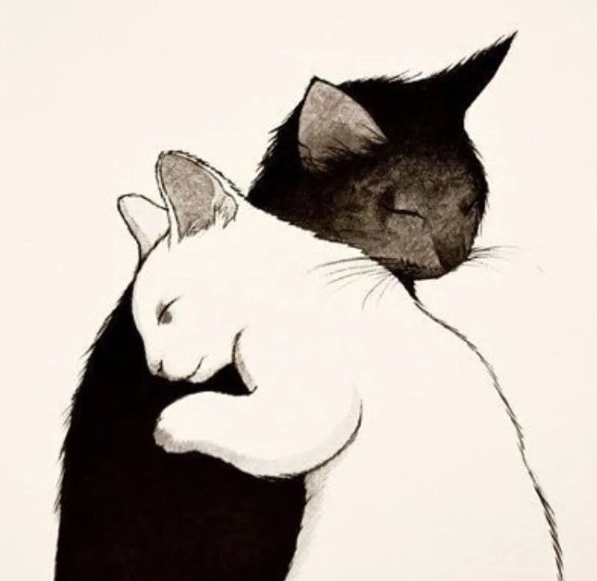 2 нарисованных котиков