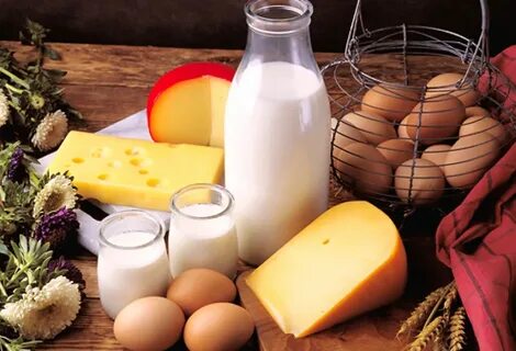 Продукты скотоводства