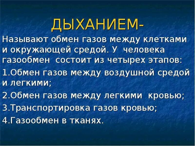 Обмен газов между легкими. Обмен газов между клетками и окружающей средой. Дыхание обмен газов между клетками и окружающей средой. Стадии газообмена. Газообмен между окружающей средой и кровью называется.