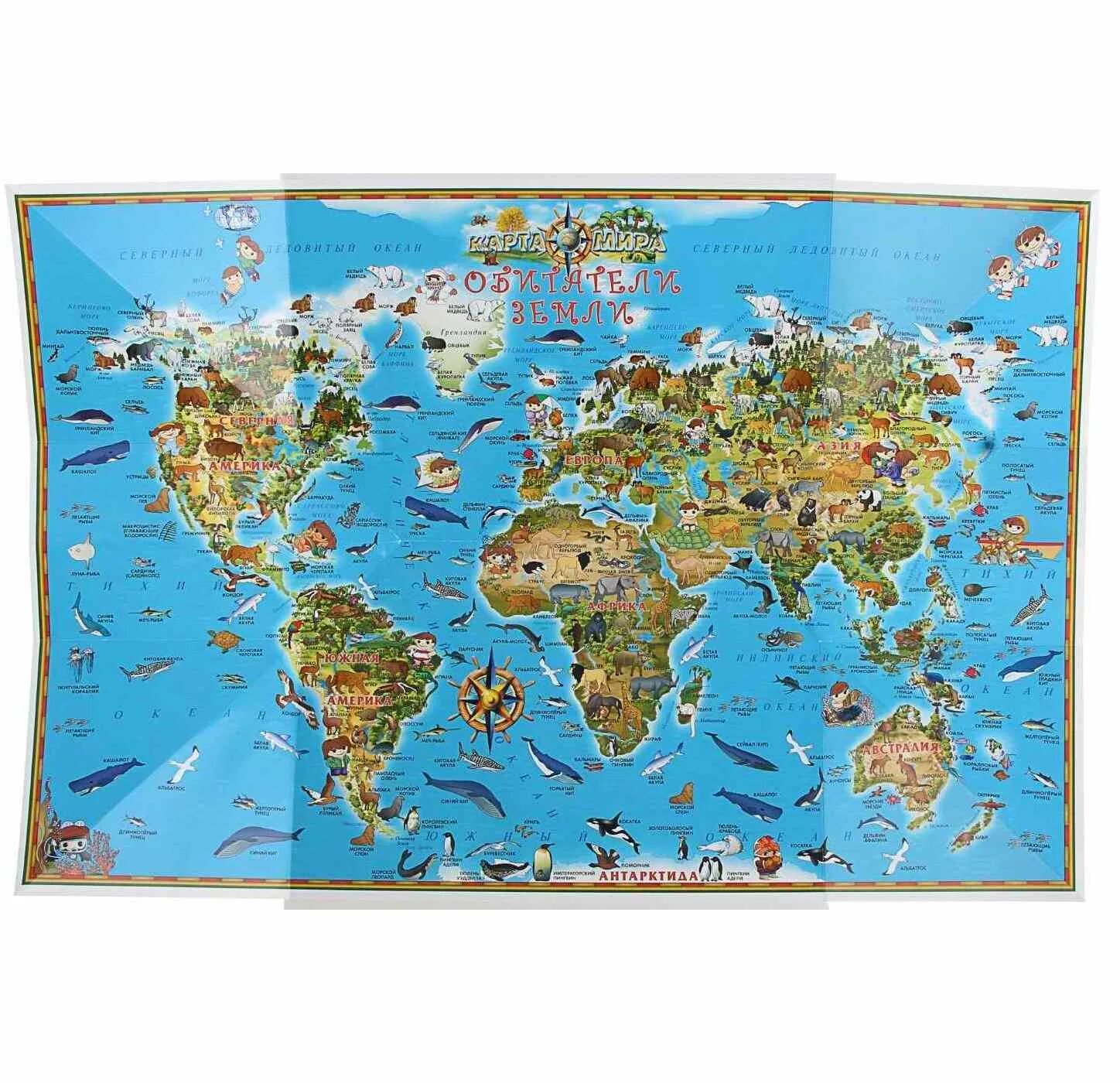 Животный мир нашей планеты. Места обитания животных. Адриан честерман картины. Животный мир планеты. Обитатели земли мир.