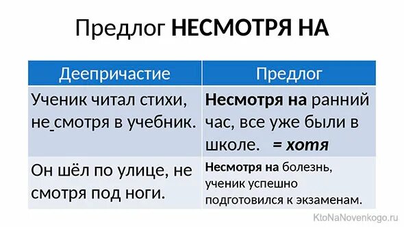 Слово ни это предлог