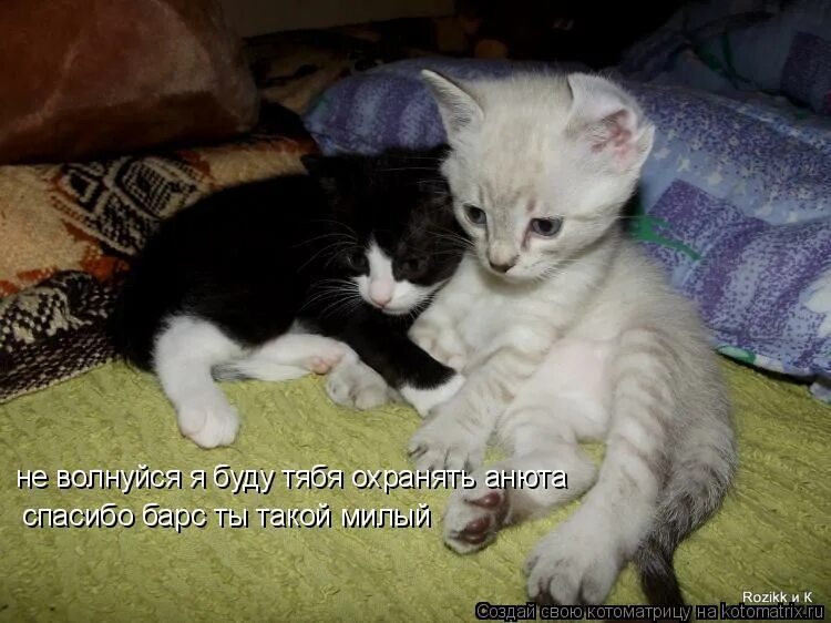 картинки я беспокоюсь. радуйтесь мелочам и не нервничайте по пустякам. лемур мем. не нервничай. не волнуйся, всё хорошо.