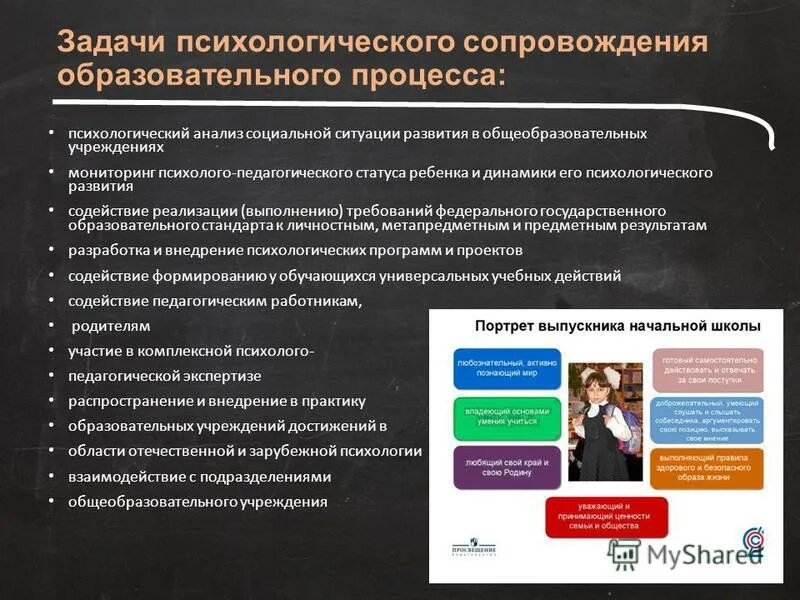 Пусконаладка оборудования. Оборудование пк. Сопровождение информационной сети. Сопровождение информационной сети. Пользователь компьютера.