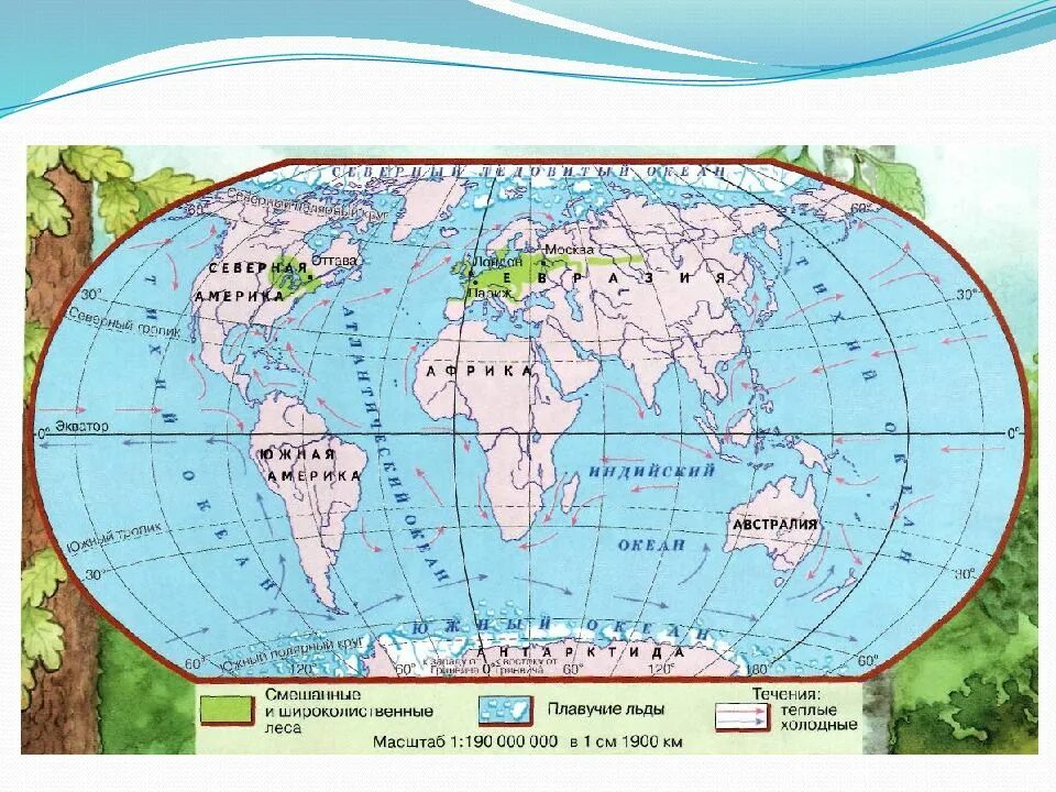 Широколиственные леса относительно морей и океанов. Зона смешанных и широколиственных лесов географическое положение. Тайга смешанные и широколиственные леса географическое положение. Карта смешанных и широколиственных лесов России. Географическое положение широколиственных лесов на карте.