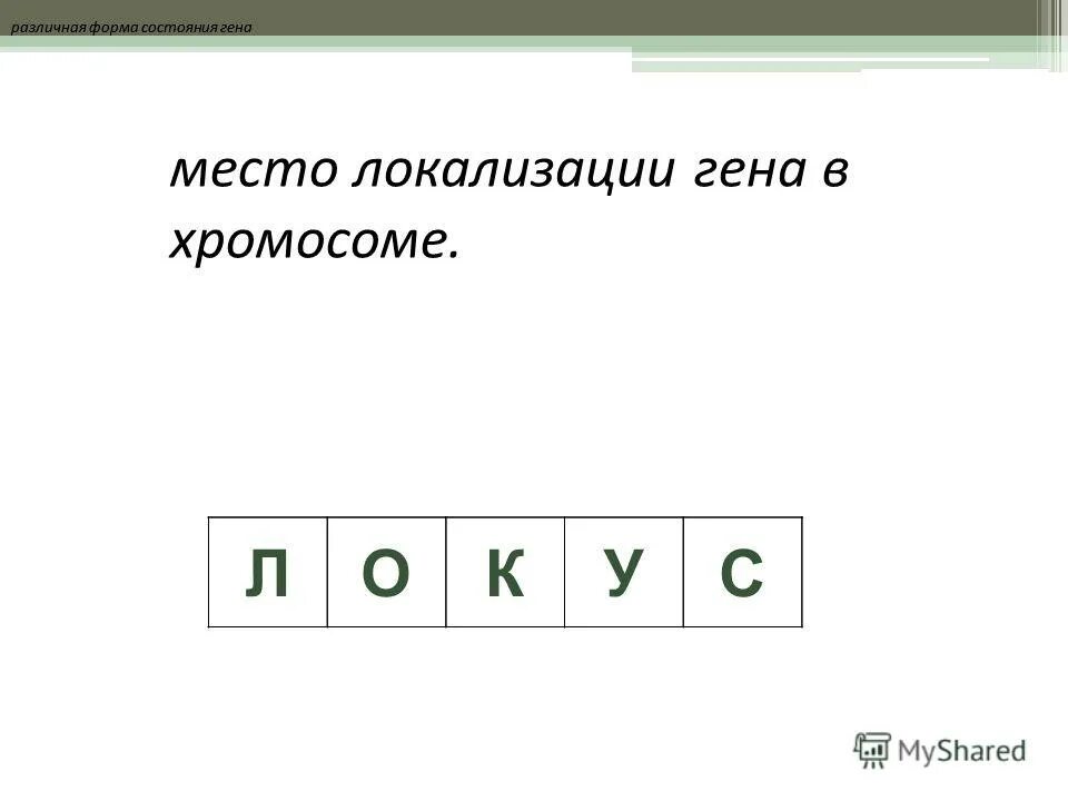 структурное состояние гена 6 букв
