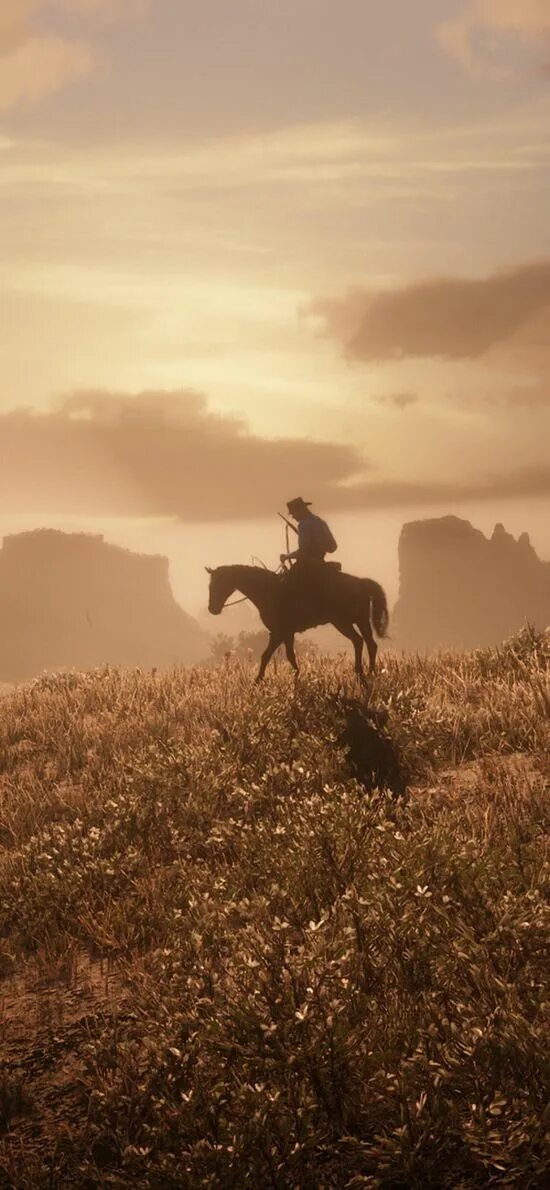 Red dead redemption 2 фото. Rdr на телефоне. Rdr на телефоне. Red dead redemption 2. Red dead redemption 2 wallpaper iphone.
